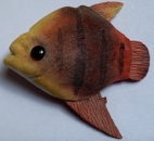 Fisch braun-rot